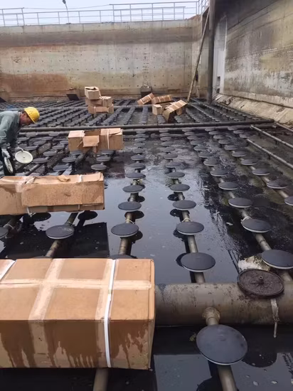 Diffuseurs à bulles à disque pour cages d'aquaculture/aérateur par aspersion/système d'aquaculture